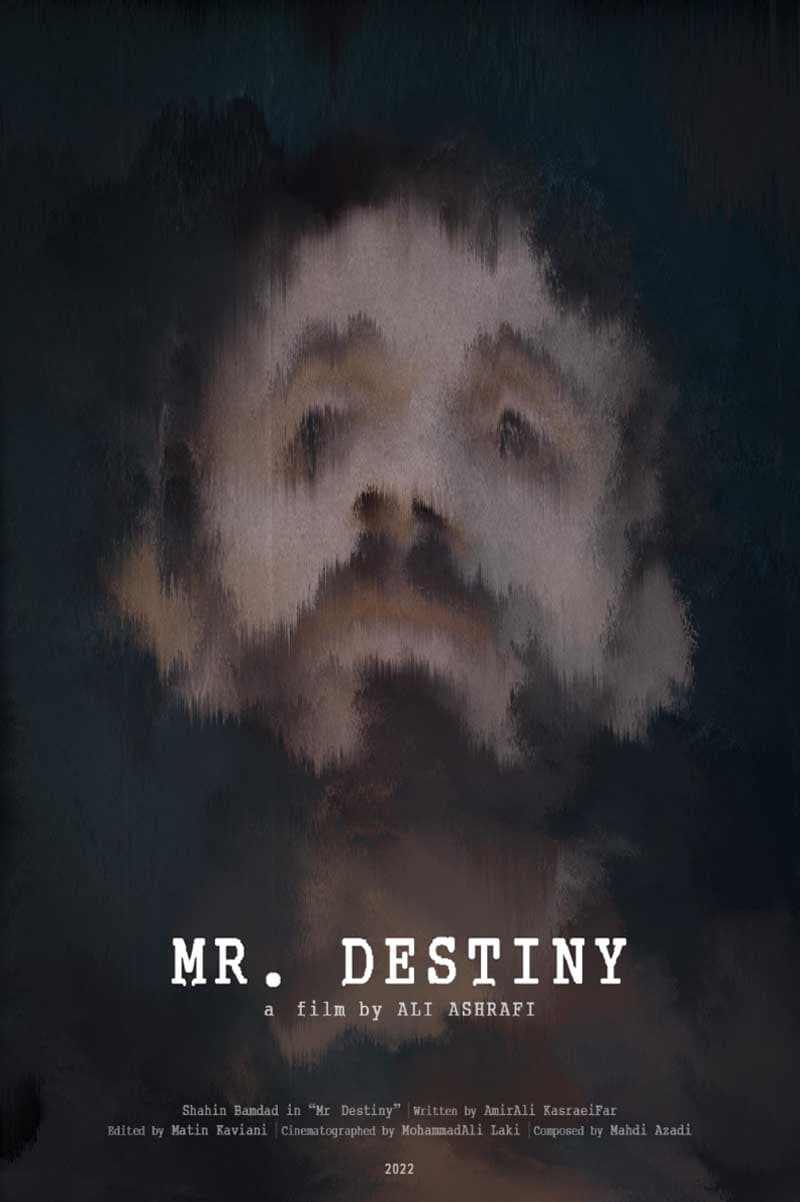 Mr. Destiny poster